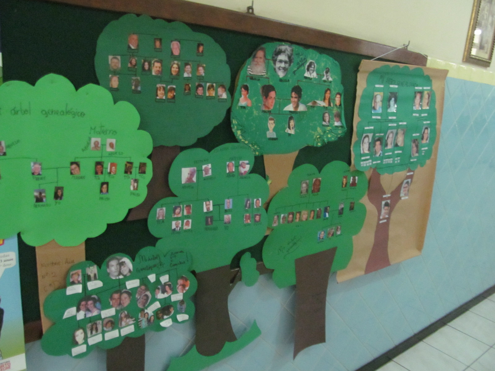6º ano Árvore genealógica
